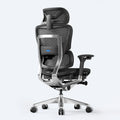 OdinLake O1 (Ergo PLUS 743) ergonomic gaming chair