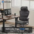 OdinLake O1 (Ergo PLUS 743) ergo chair