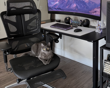 Workspace Ergonomics: How to Set Up a Healthy Workstation