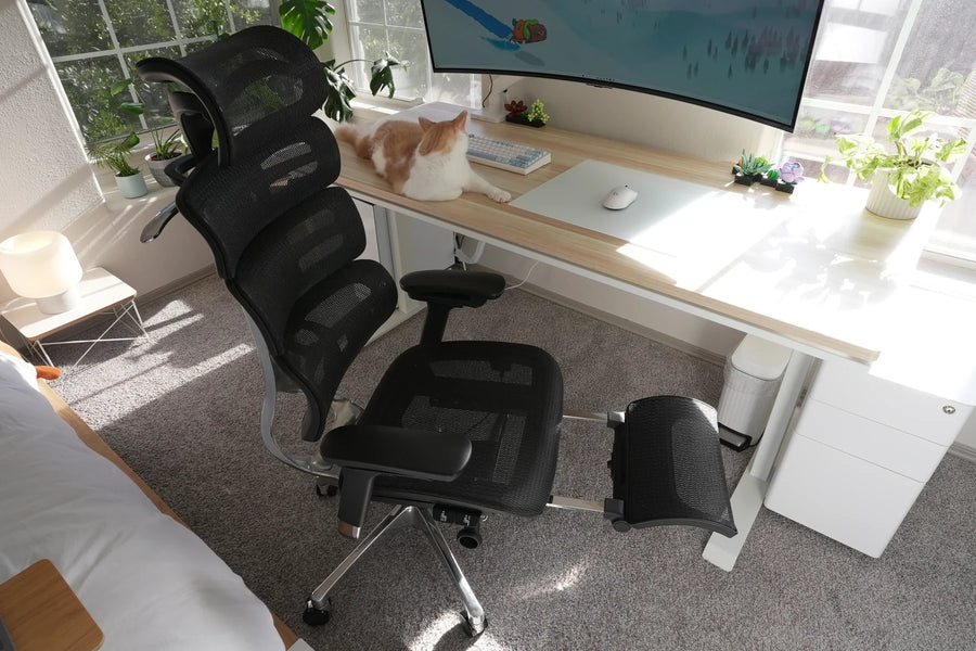OdinLake ergonomic office chair at a bright desk on carpet