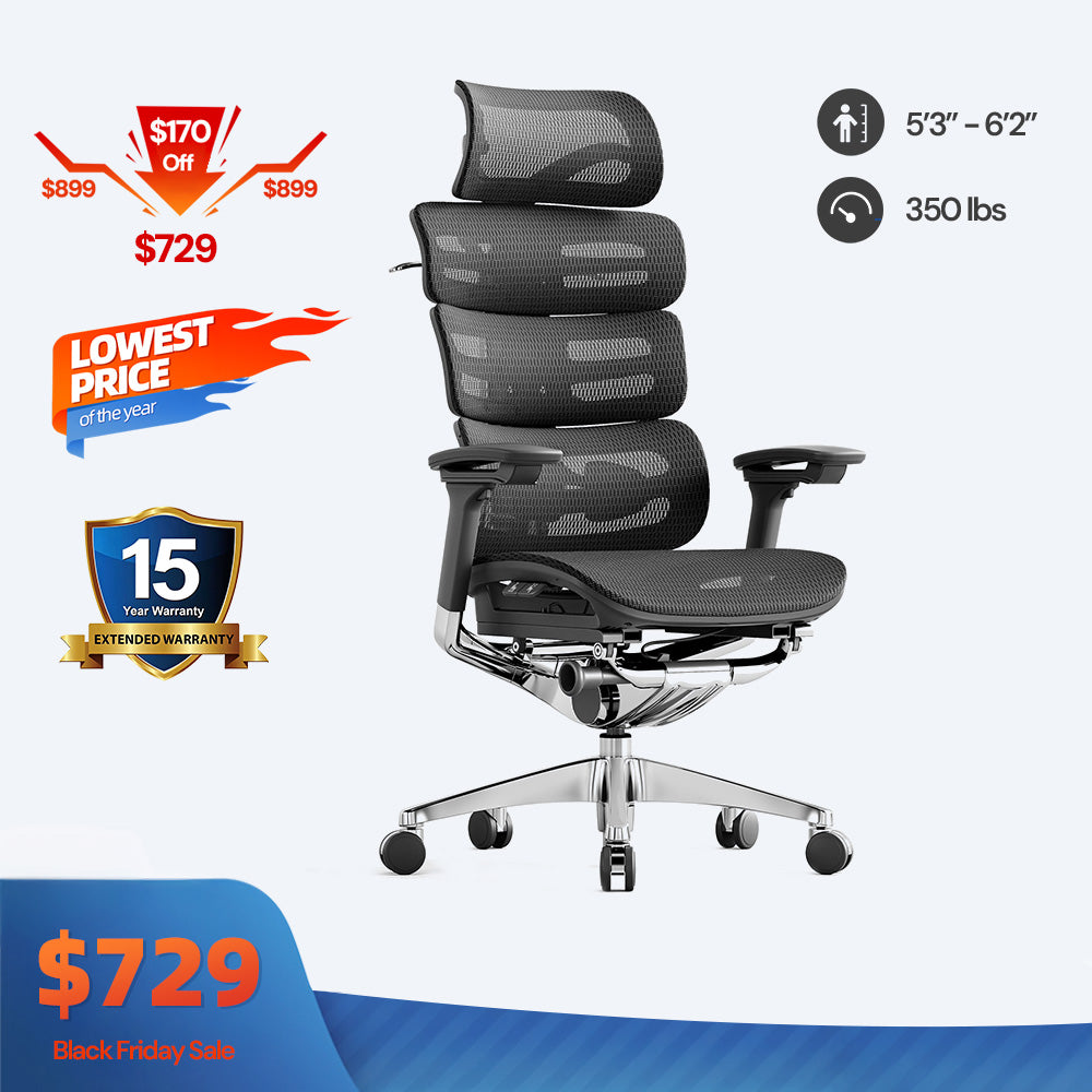OdinLake O2 (Ergo MAX 747) | Three-Section Backrest Ergonomic Chair