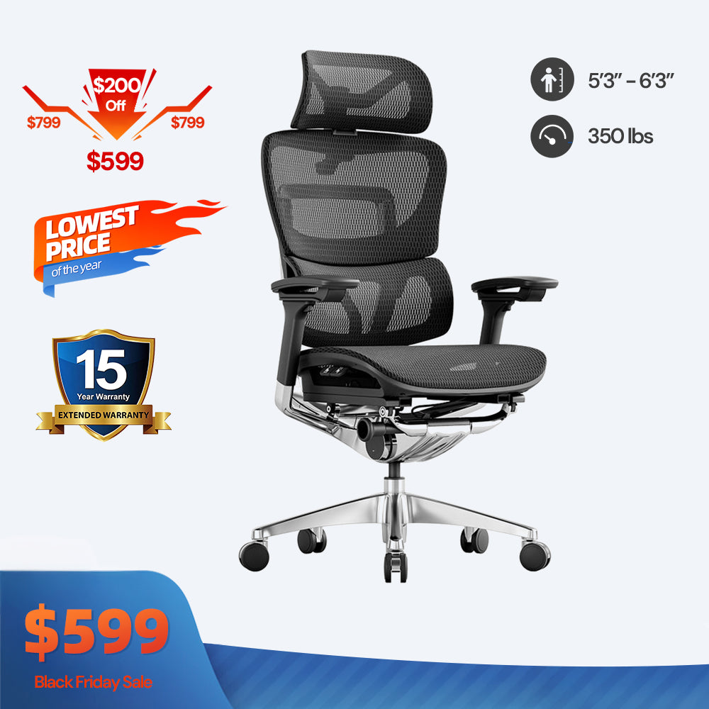 OdinLake O1 (Ergo PLUS 743) | Flex Mesh Ergonomic Chair