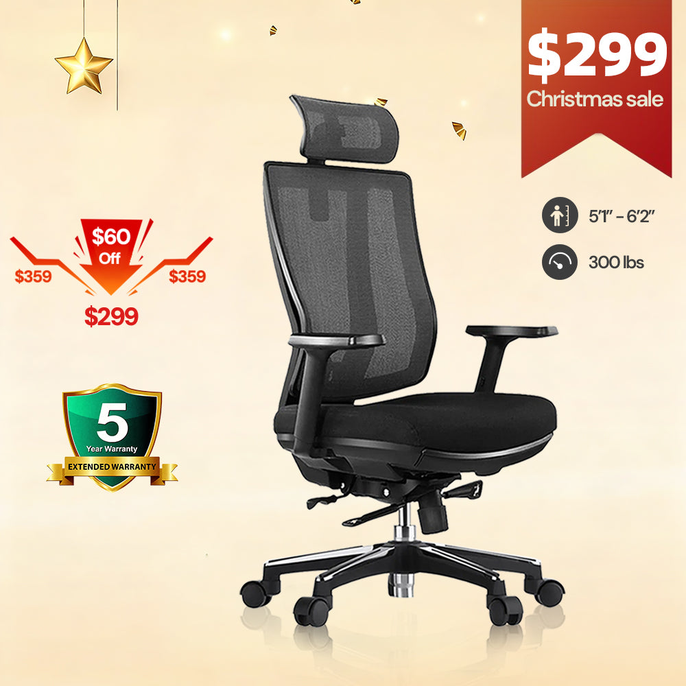 OdinLake L2 (Ergo PRO 633) | Ergonomic Office Chair(Built-in Footrest)