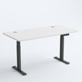 OdinLake Standing Desk S450 OdinLake