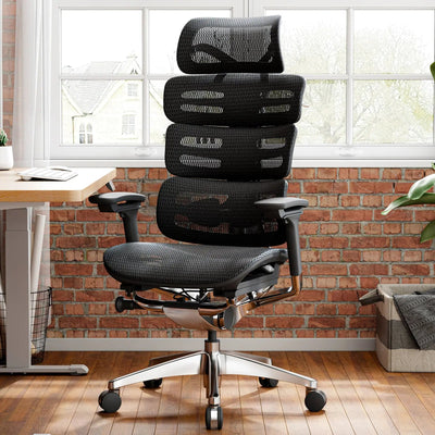 OdinLake O2 (Ergo MAX 747) | Three-Section Backrest Ergonomic Chair