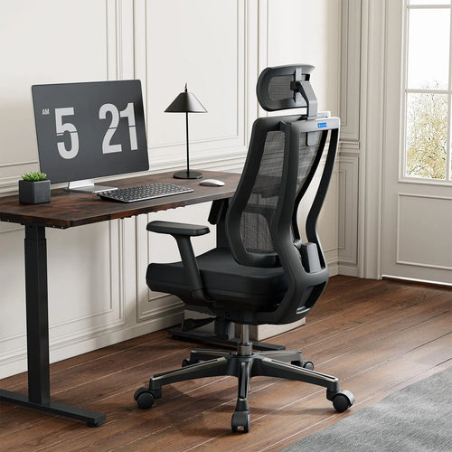 OdinLake L2 (Ergo PRO 633) | Ergonomic Office Chair(Built-in Footrest)