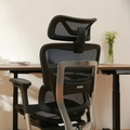 OdinLake O1 ergo chair