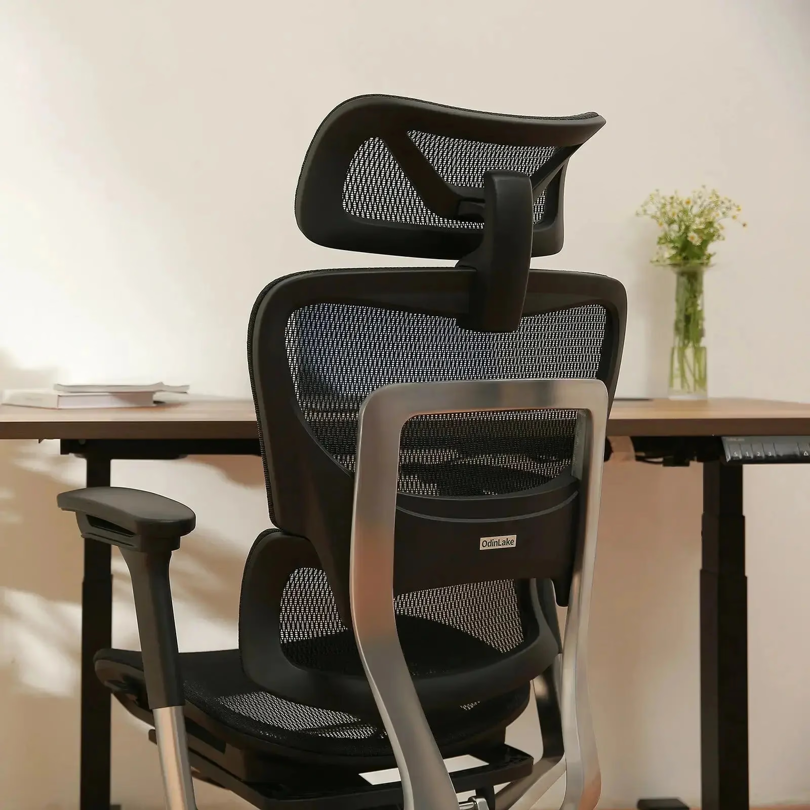 OdinLake O1 ergo chair