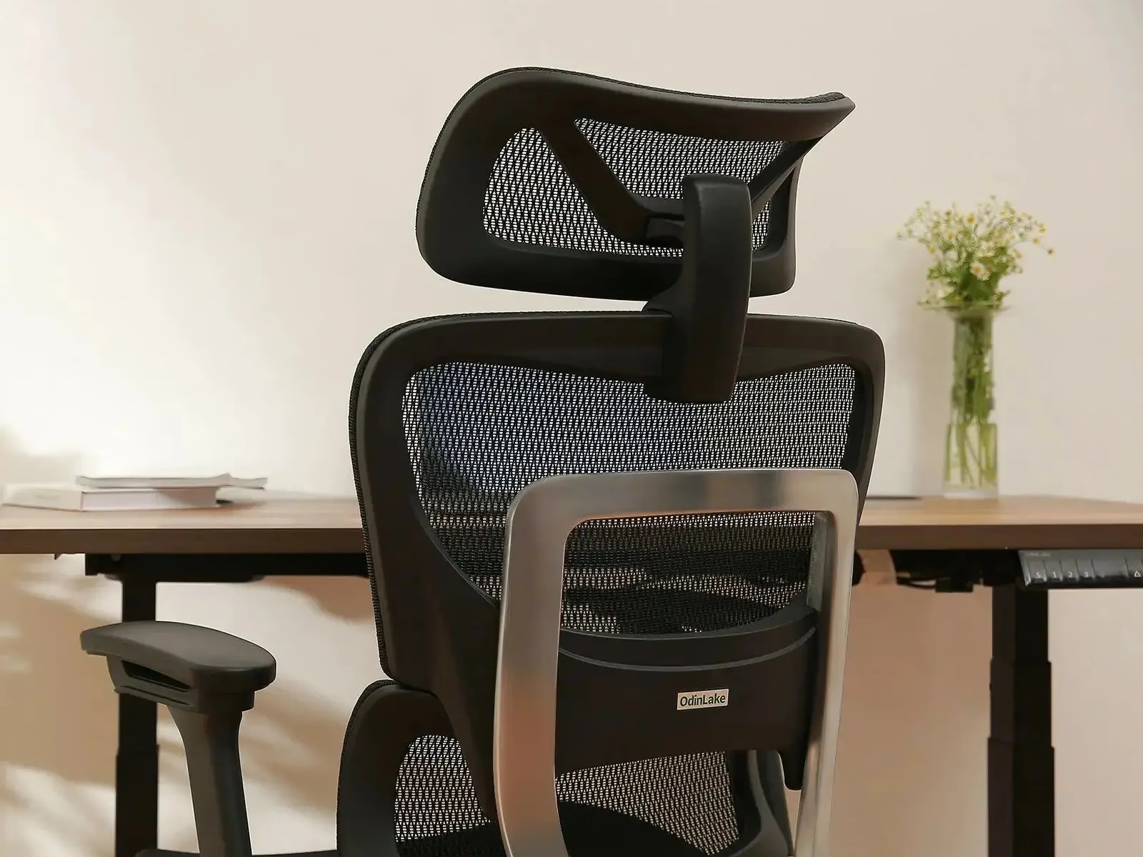 OdinLake O1 ergonomic gaming chair