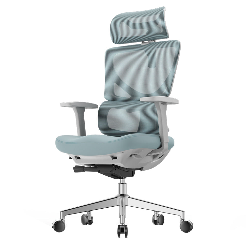OidnLake L1 PRO ergo chair